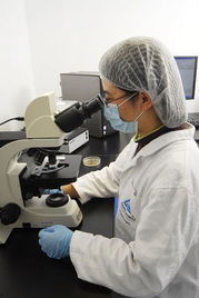 萊茵技術商檢青島食品實驗室 技術創新與交流的視覺之旅